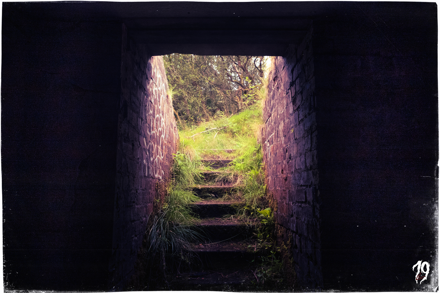Stone archway leading to a grassy area with trees