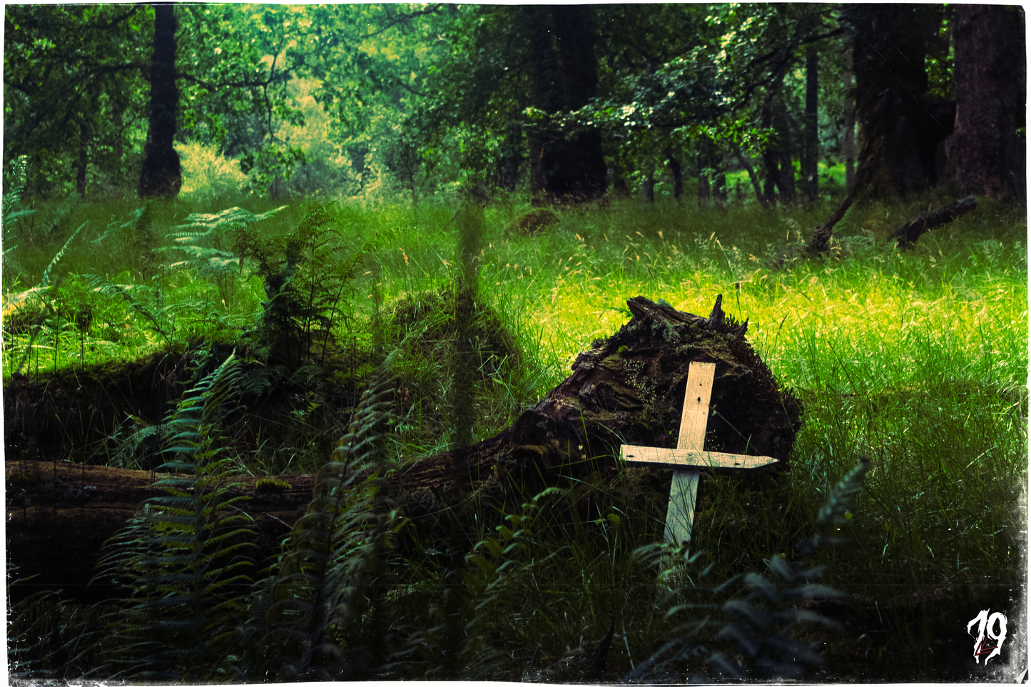 Wooden cross in a forest with green grass and trees